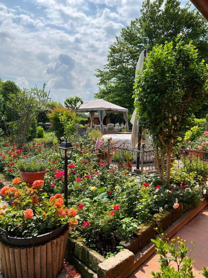 Casa Serenella B&B - Casa Vacanze 피아촐라 술 브렌타 외부 사진