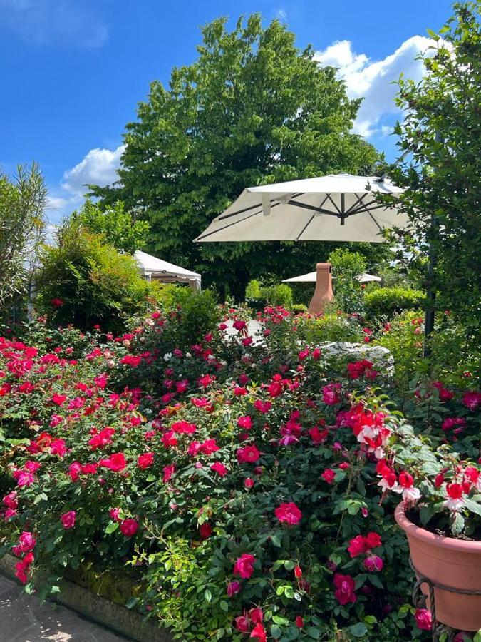 Casa Serenella B&B - Casa Vacanze 피아촐라 술 브렌타 외부 사진
